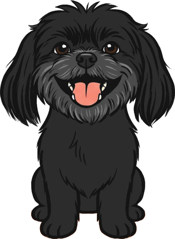 Jimmy, Shih Tzu preto, sentado e sorrindo